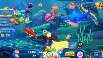 深海捕鱼爆料视频下载安装,揭秘神秘海洋生物的捕捞过程  第1张